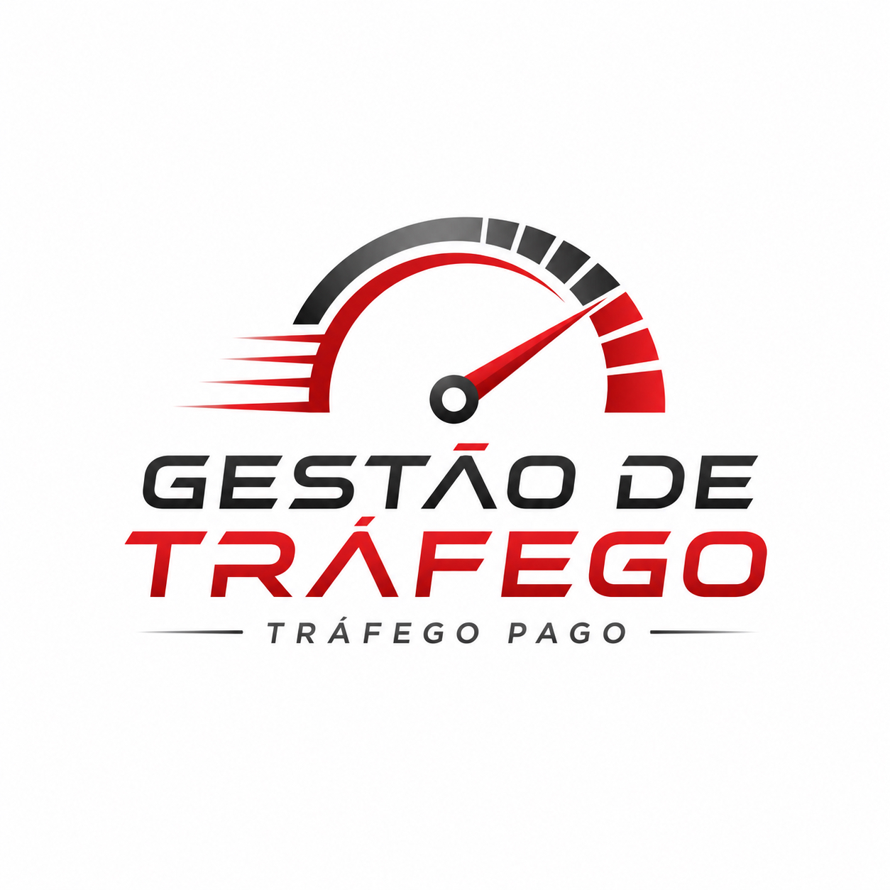 TRÁFEGO MASTER SELECT AUTOMOTIVO